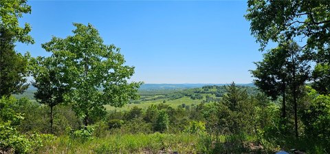 Ozark Retreat Land For Sale