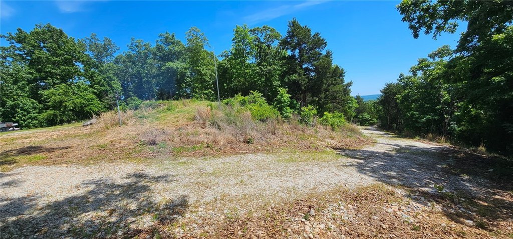 Picture 3