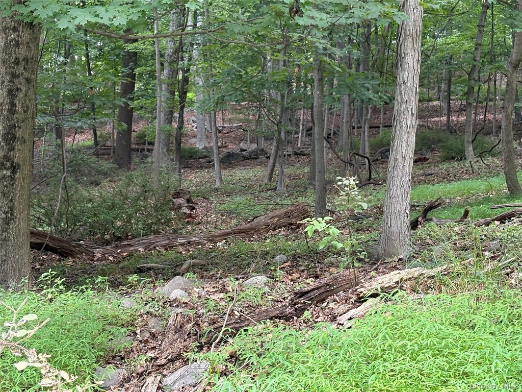 Picture 16