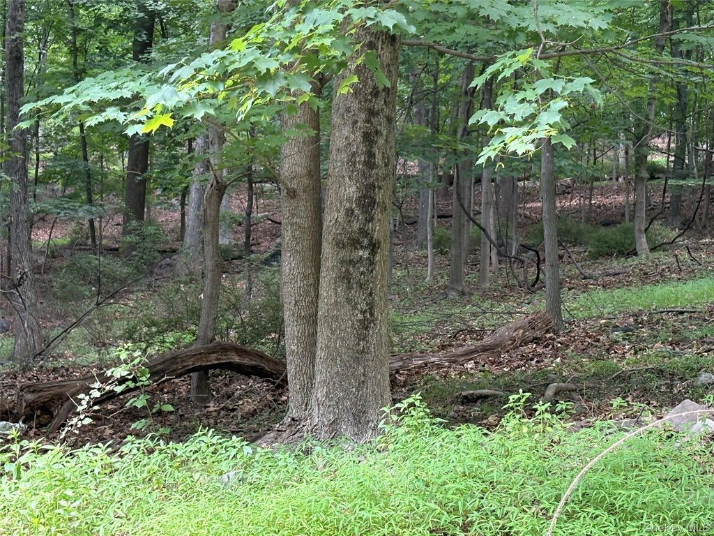 Picture 18