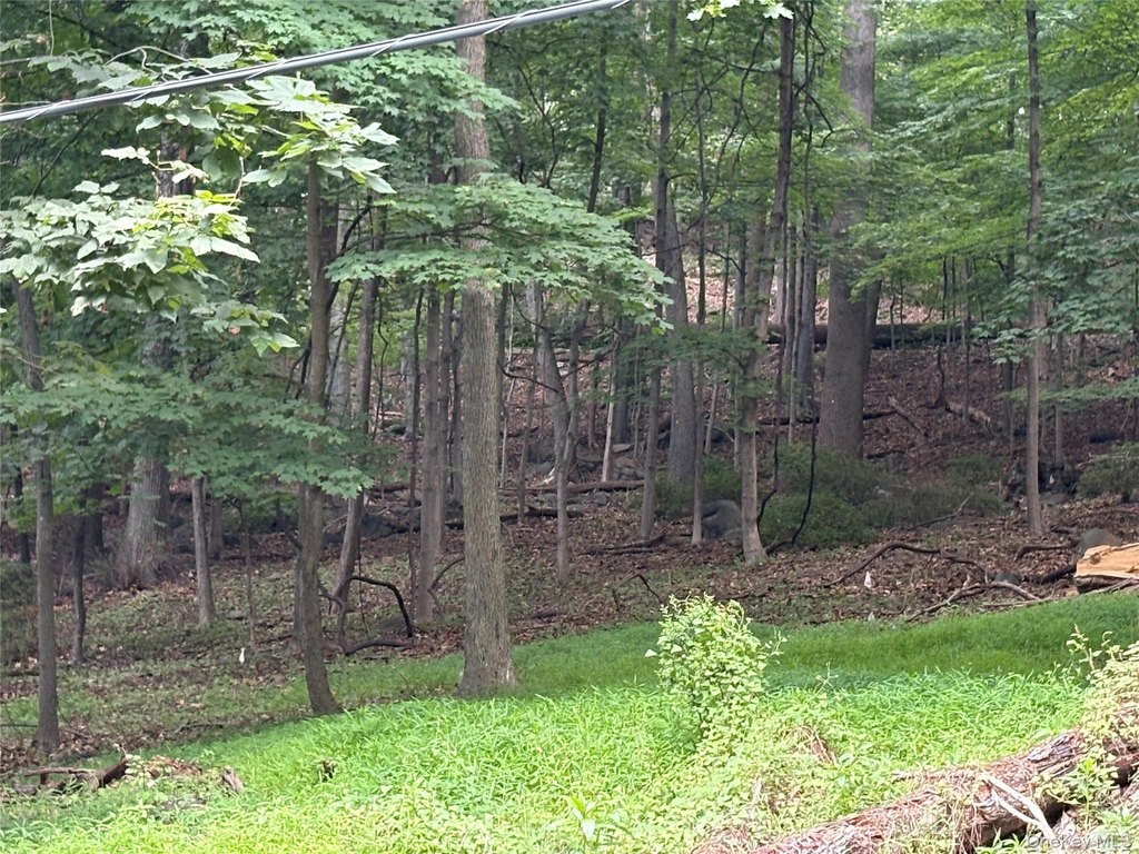 Picture 19