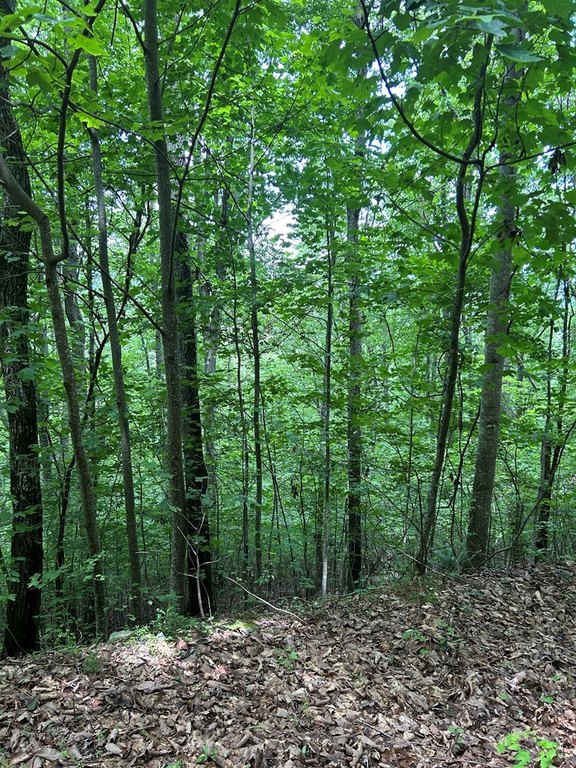 Picture 3