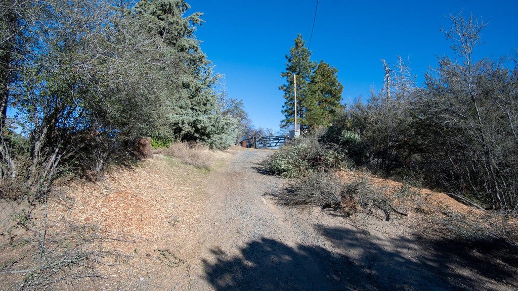 Picture 22