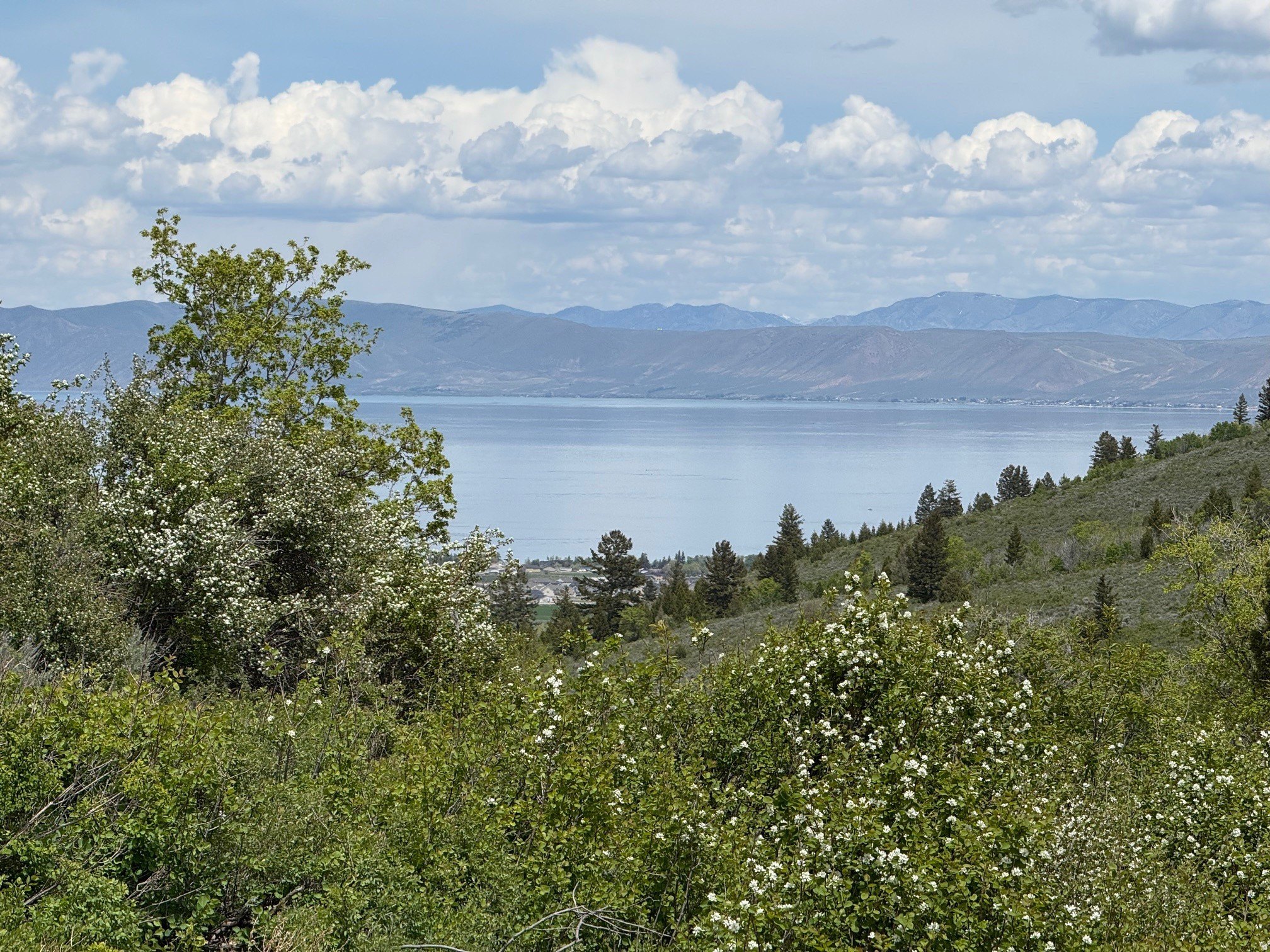 Bear Lake View Building Lot