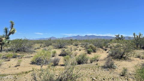 40 Acres Near Government Land