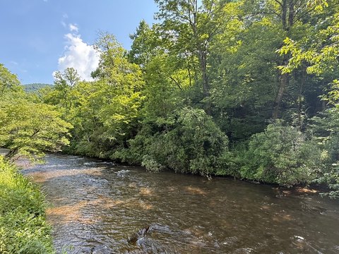 Wooded Land with Creek Frontage