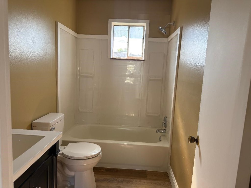 Picture 5