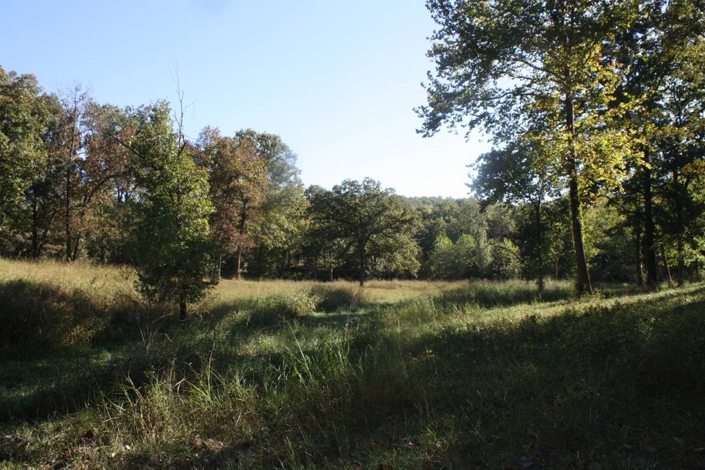 Picture 12