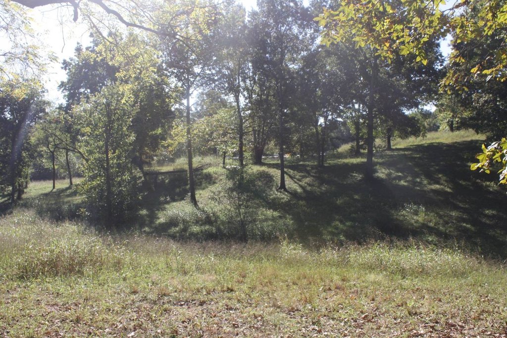Picture 22