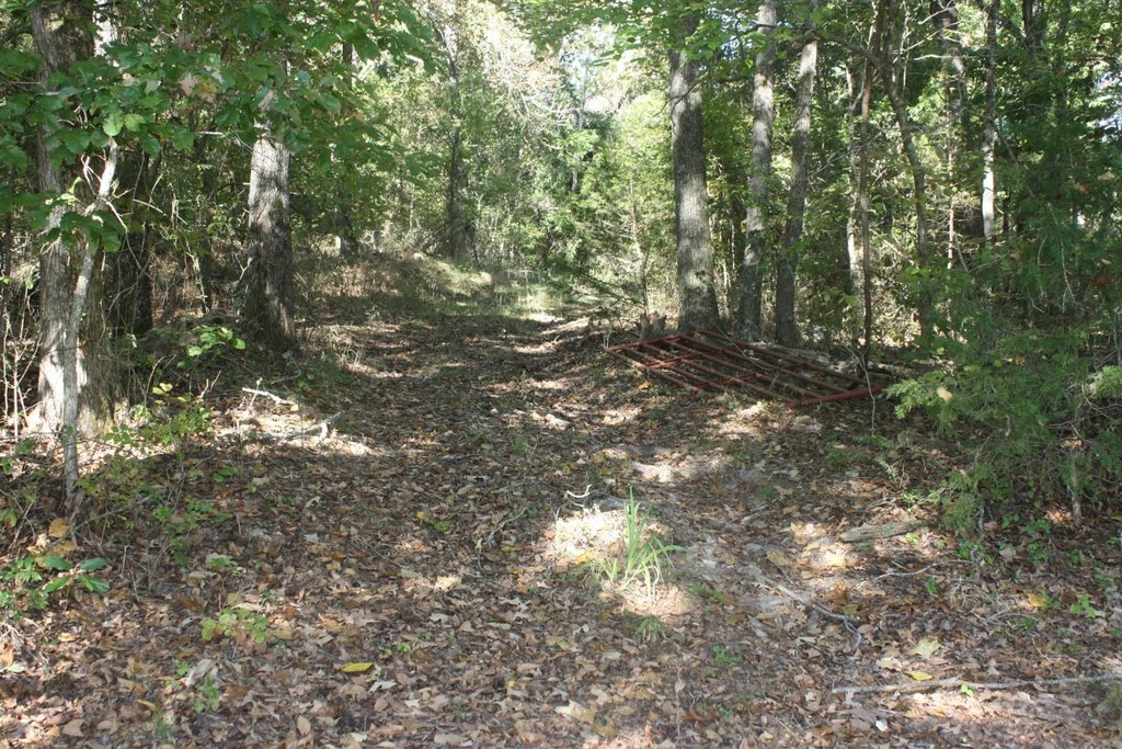 Picture 16