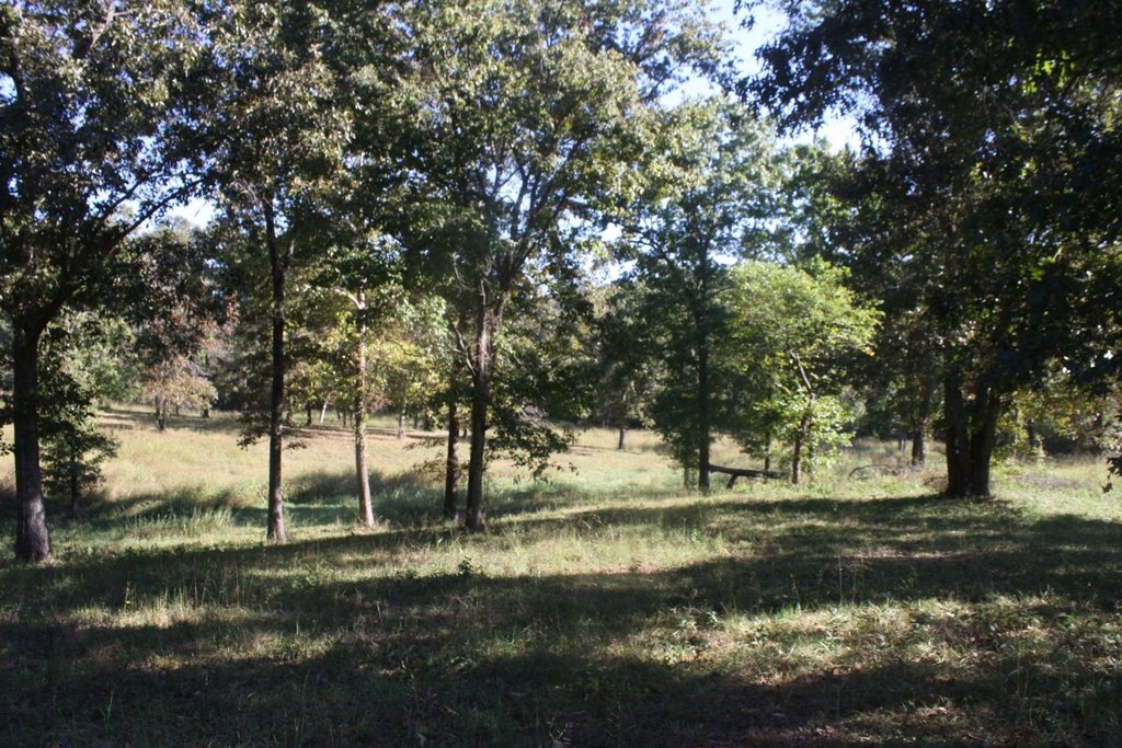 Picture 10
