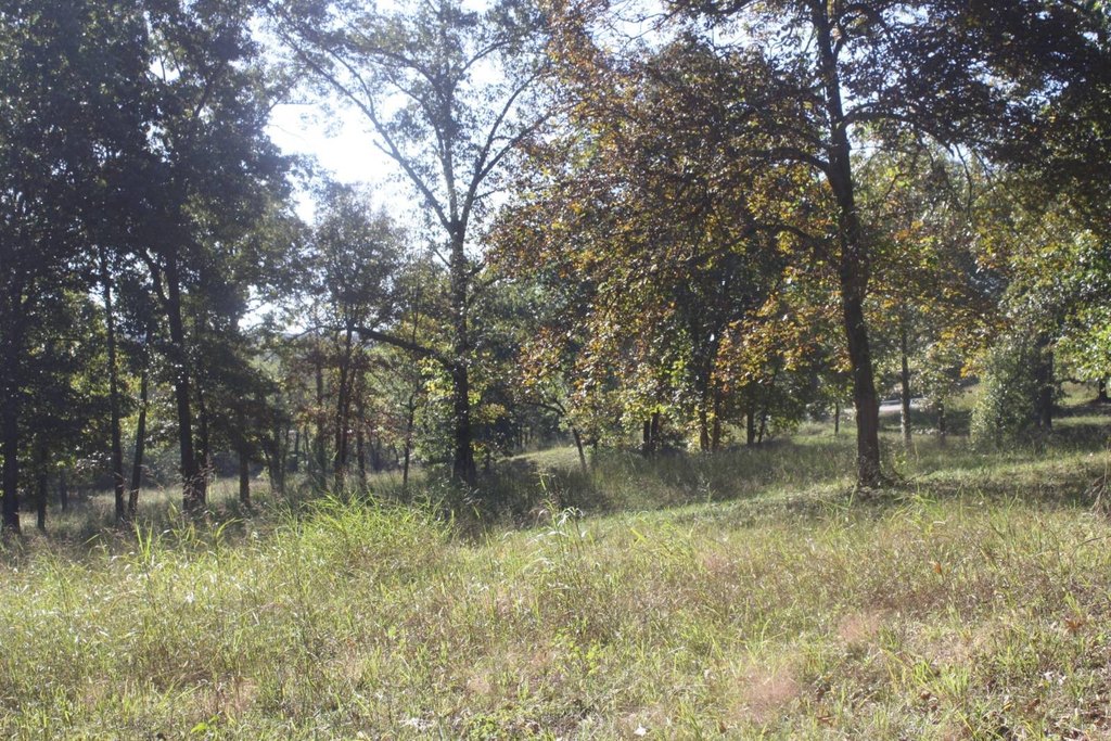 Picture 19