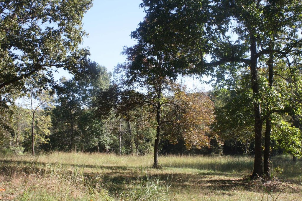 Picture 15