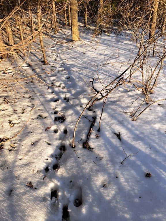 Picture 5