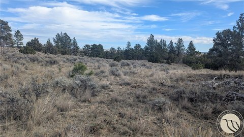 Land, Roundup, MT
