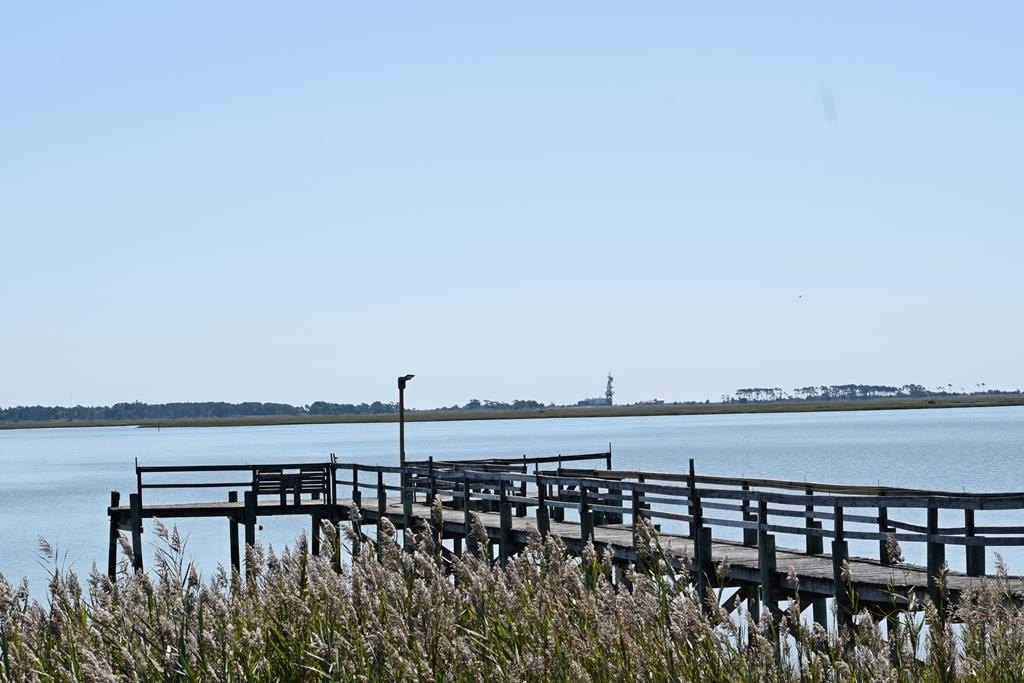 Picture 6