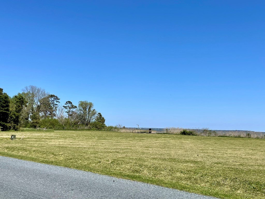 Picture 28