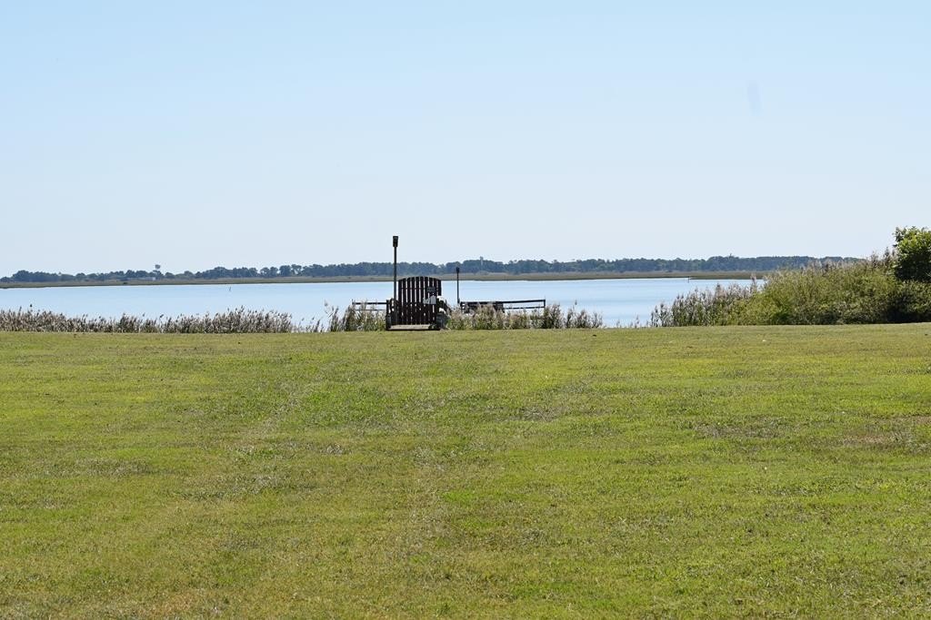 Picture 4