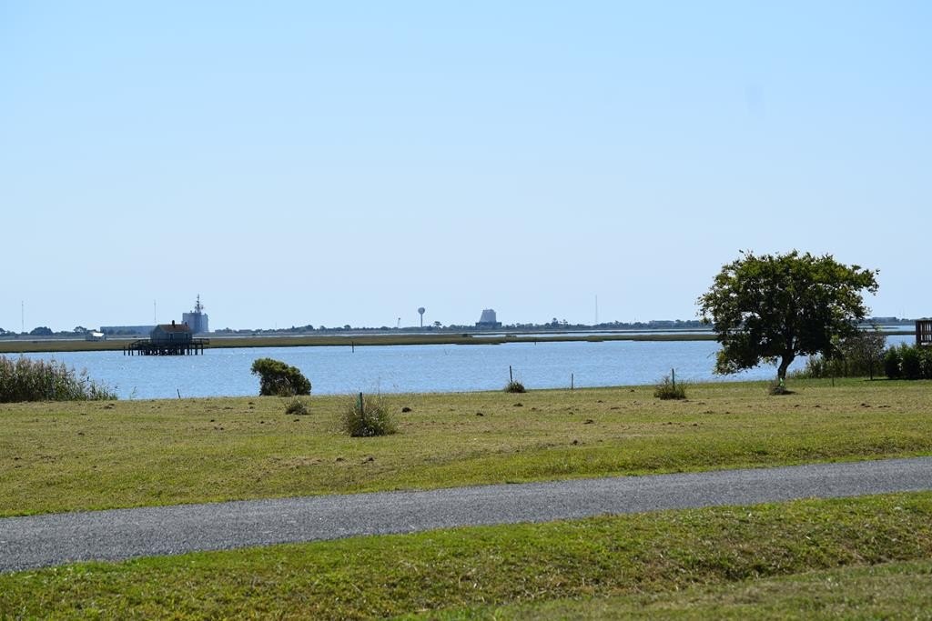 Picture 3