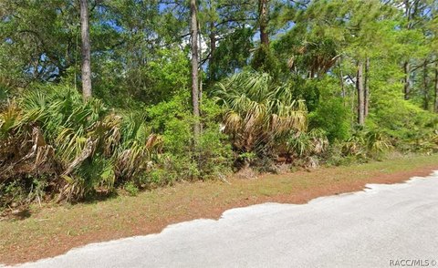 Land, Crystal River, FL