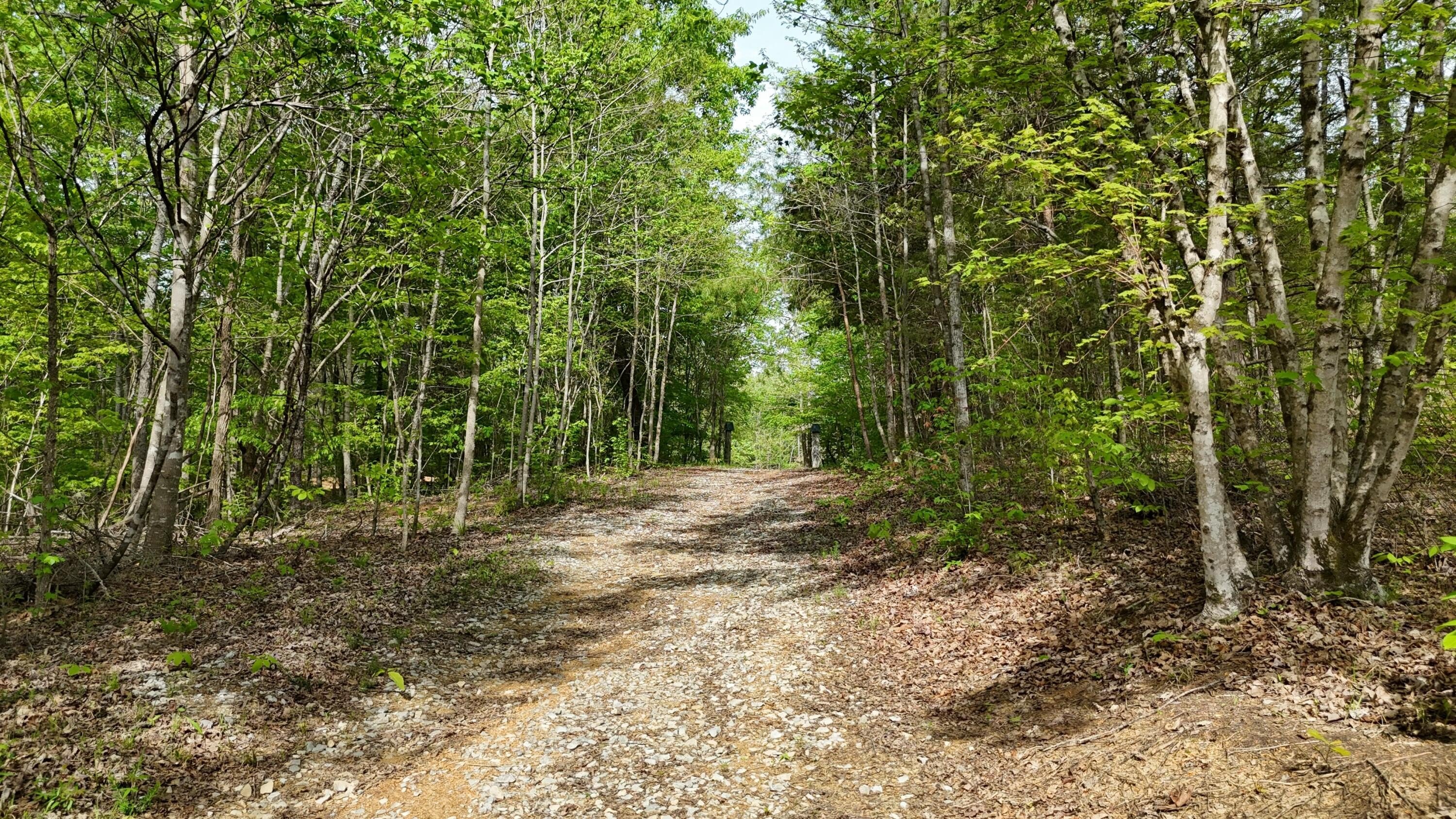 5.23 Acres Wooded Lot