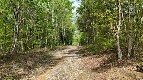 Wooded Lot in Cleveland, TN