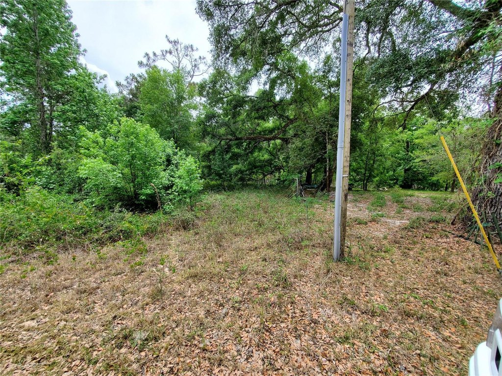 Picture 21