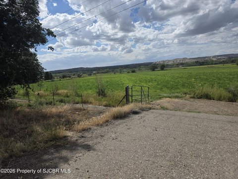 Irrigated Agricultural Land