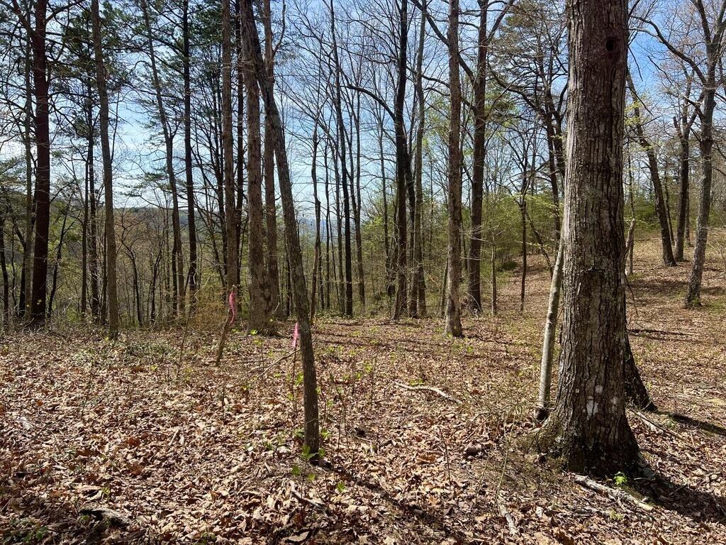 Picture 28