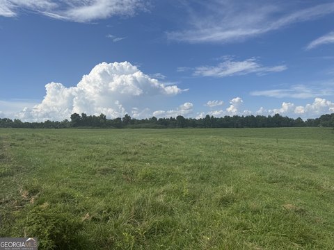 Roopville Land with Lush Pasture