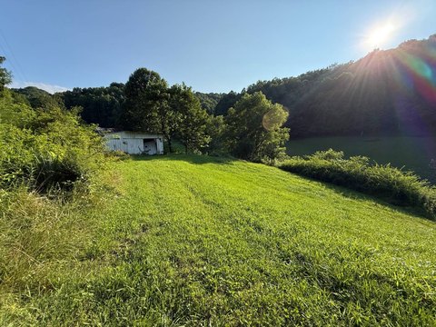 LAND - Duck, WV