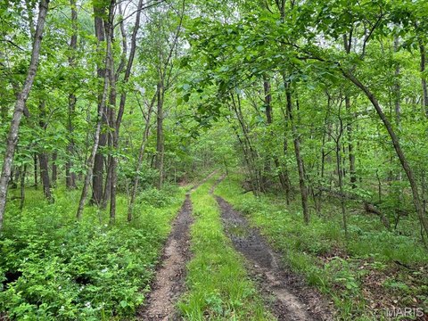 Recreational Hunting Land Tract