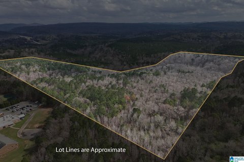 A1-Zoned Land