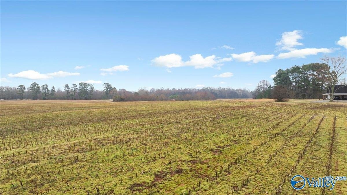 5 Acre Hazel Green Land