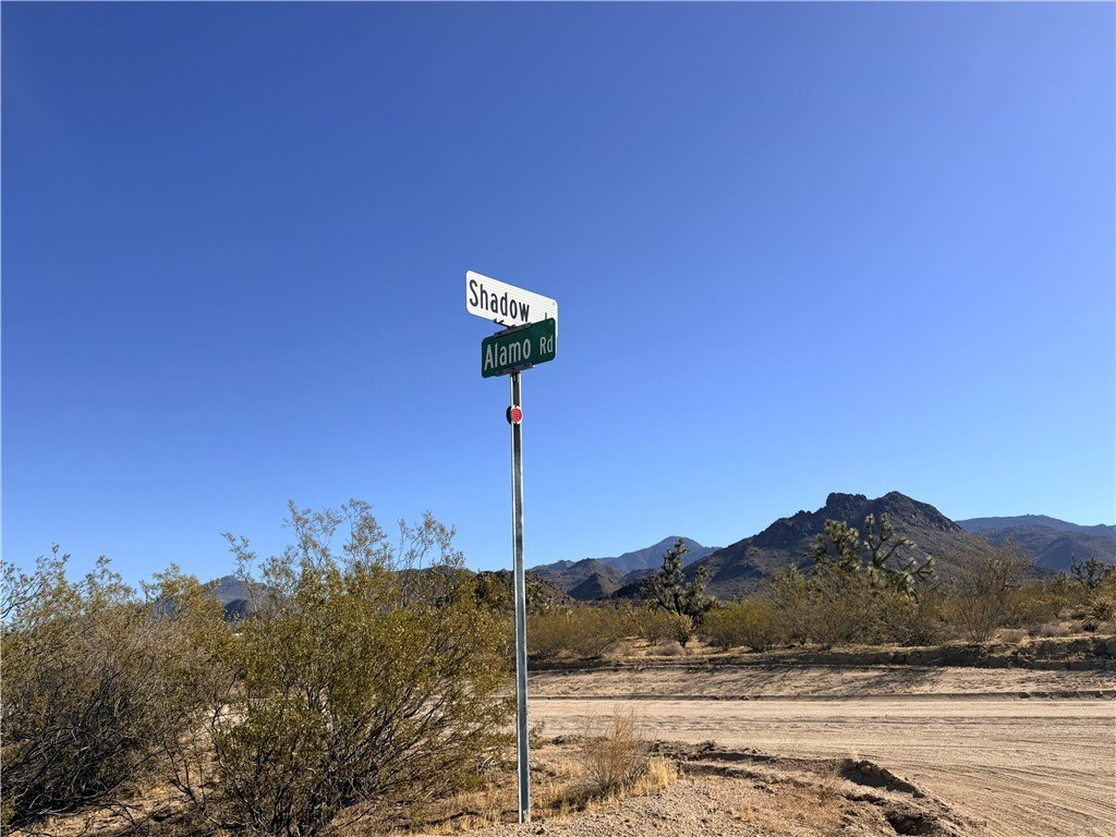 Picture 17