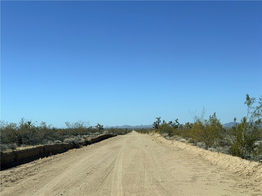 Picture 23