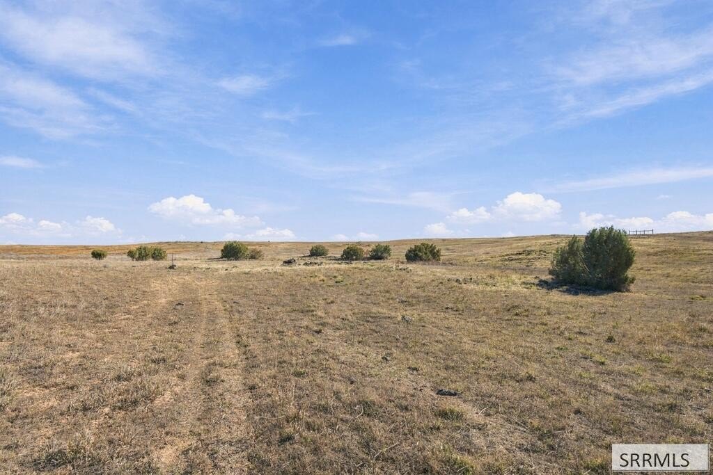 Picture 21