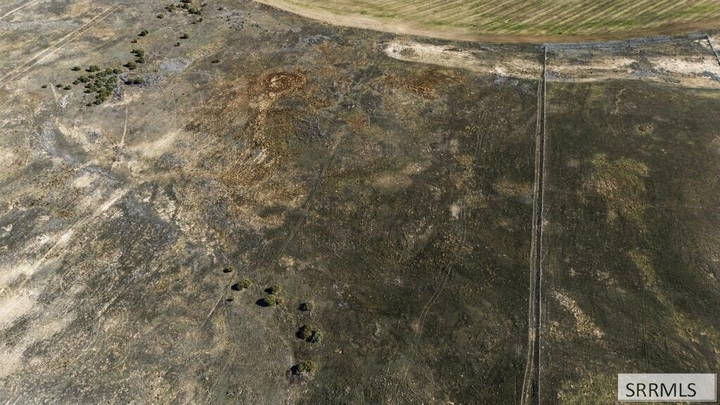 Picture 14