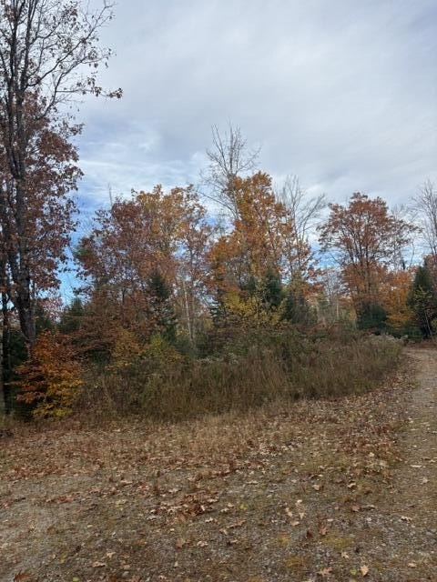 Picture 3