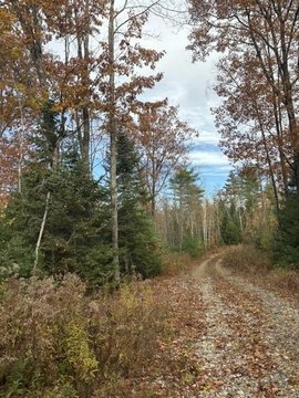 Land, New Sharon, ME