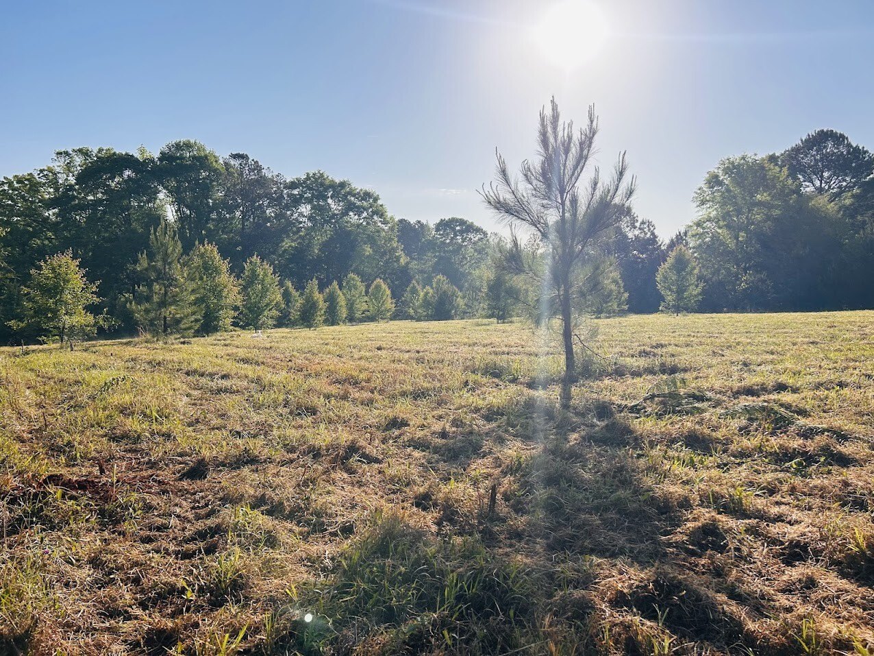 Pike County Vacant Land