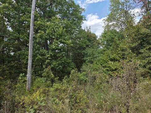 Vacant Land, Hardy, AR