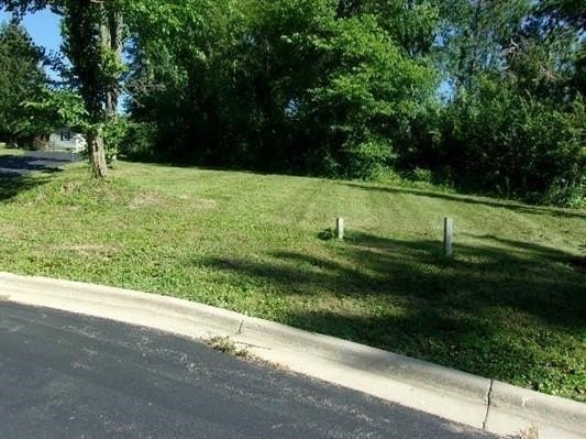 Picture 2