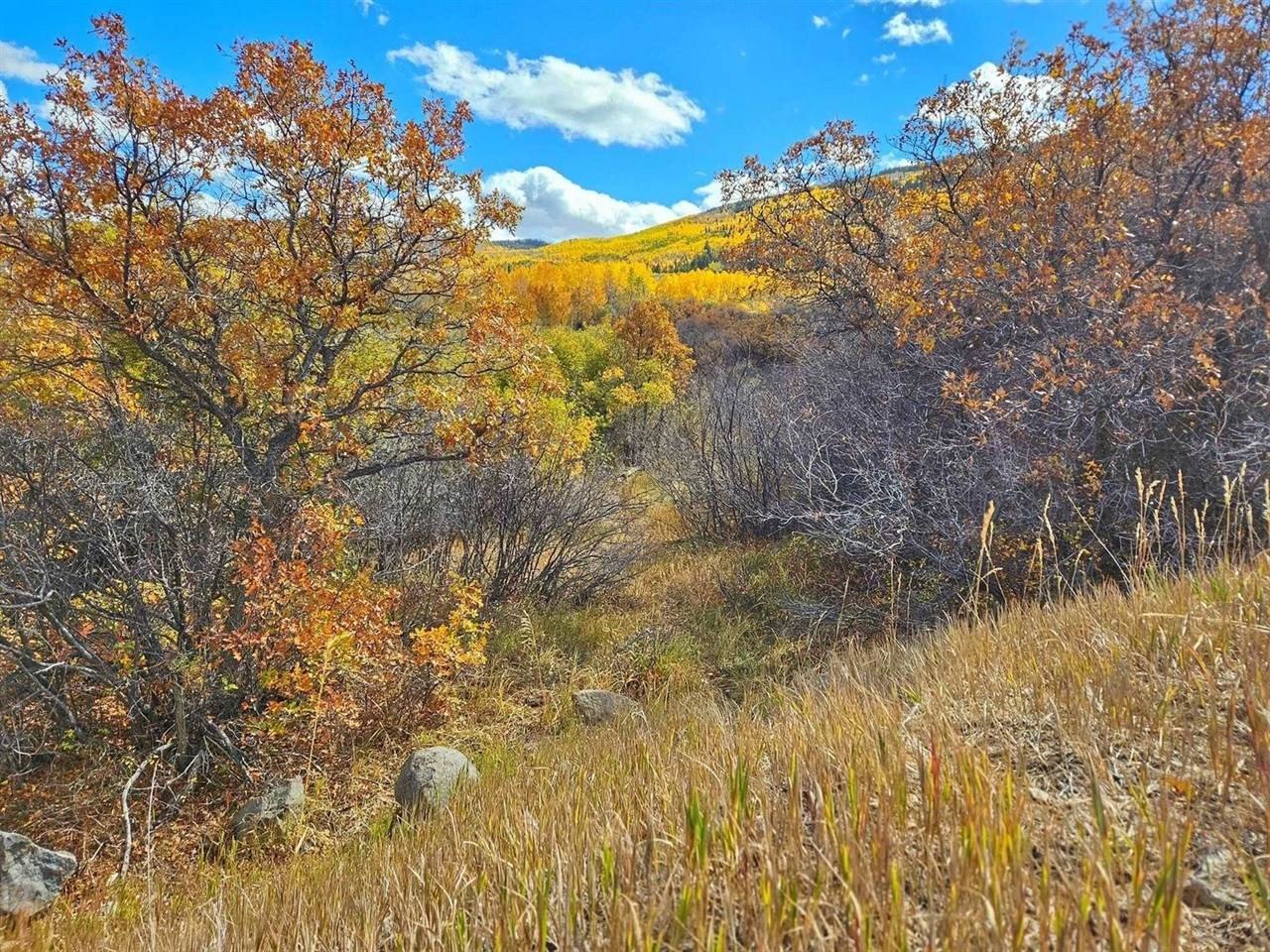 Grand Mesa Land Near Resort