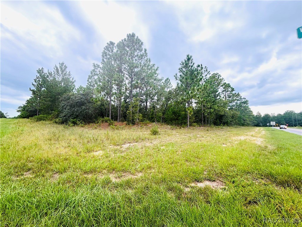 Citrus Springs Land for Sale