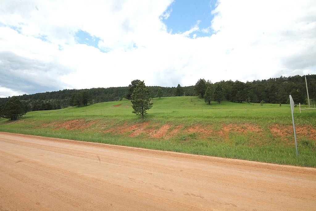 Picture 20