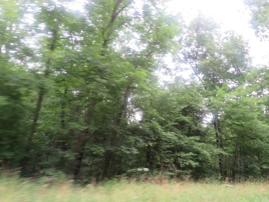 166 Acres of Endless Possibilities