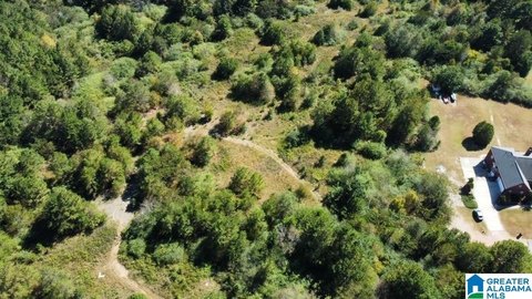 Estate Lot for Single-Family Build