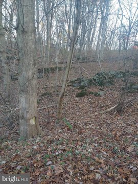 Residential Land Near Shenandoah River