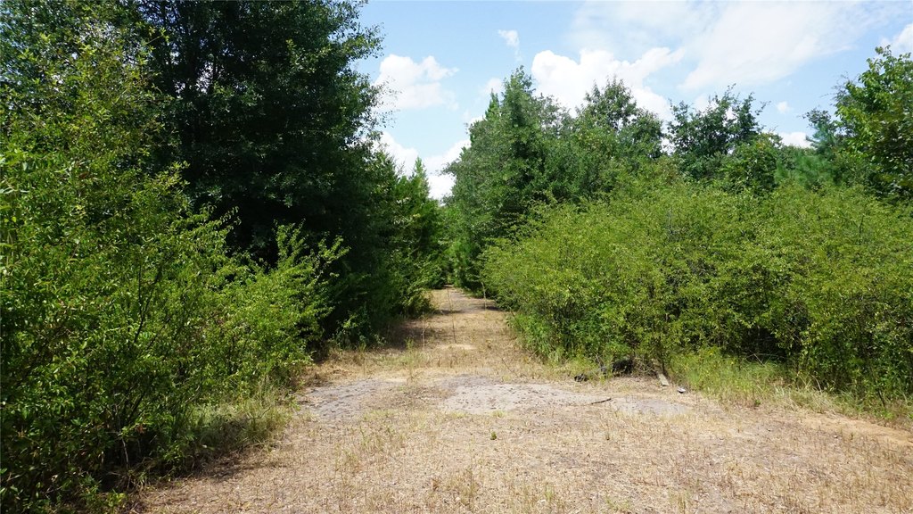Picture 11